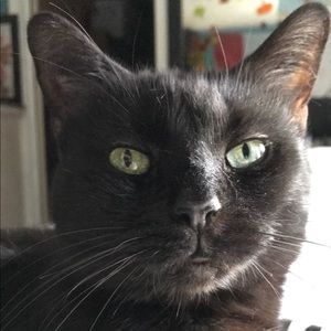 Meet your Posher, Lyndsay